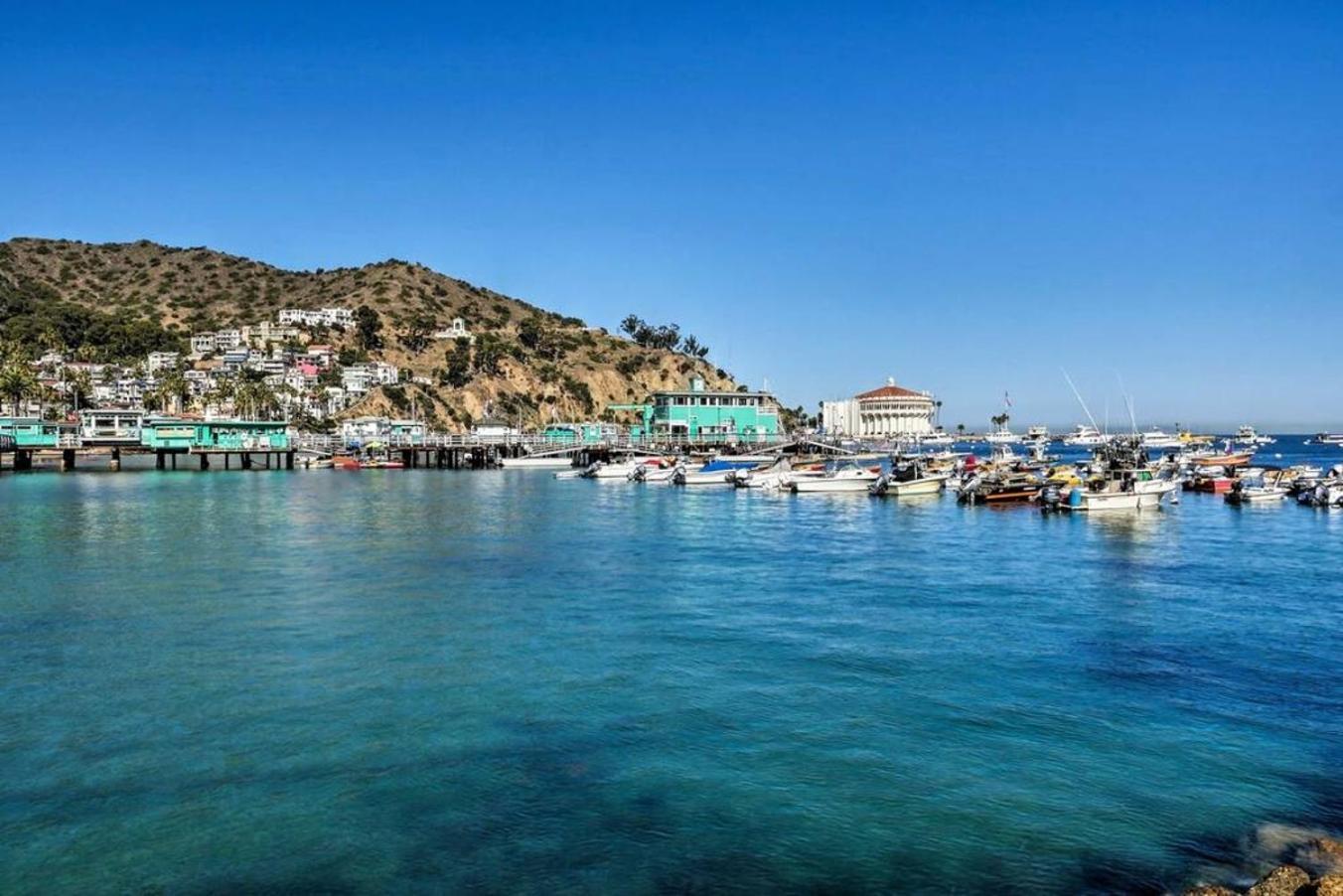 Gorgeous Oceanfront Villa With Panoramic Views Avalon Exterior foto